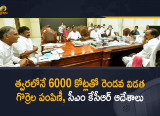 CM KCR gives nod for second phase of sheep distribution, CM KCR Orders Minister Talasani to Start Second Phase Sheep Distribution Soon with Rs 6000 Cr, KCR gives nod for second phase of sheep distribution, KCR Orders Minister Talasani to Start Second Phase, KCR Orders Minister Talasani to Start Second Phase Sheep Distribution, Mango News, Rs 6k cr for sheep distribution, Second Phase Sheep Distribution, Telangana govt sanctions Rs 6000 crore for second phase, Telangana Second phase of sheep distribution