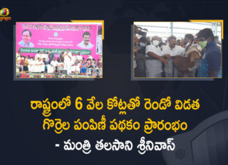 2nd Phase Of Sheep Distribution Scheme, Koppula Eshwar Started Second Phase Sheep Distribution in Huzurabad Today, Mango News, Ministers Talasani, Rs 6k cr for sheep distribution, second phase of sheep distribution, Second Phase Sheep Distribution, Second Phase Sheep Distribution in Huzurabad, Second Phase Sheep Distribution in Huzurabad Today, Telangana govt sanctions Rs 6000 crore for second phase, Telangana Second phase of sheep distribution