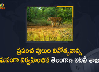 Global Tiger Day, Global Tiger Day Celebrations Held At KBR National Park, International Tiger Day, International Tiger Day celebrated, International Tigers Day, Mango News, Over 400 children take part in Global Tiger Day, Telangana Forest Department, Telangana Forest Department Celebrated International Tigers Day, Tiger population has doubled in the state, tiger population in india, tiger population in world, Tiger population increasing in Telangana state, tigers in india