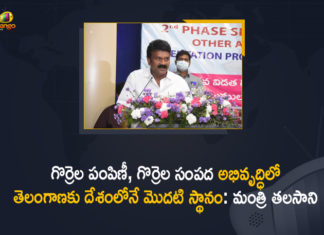 2nd Phase Sheep Distribution, 2nd Phase Sheep Distribution in Telangana, 2nd Phase Sheep Distribution Program, 2nd Phase Sheep Distribution Scheme, Mango News, Minister Talasani, Minister Talasani Srinivas Yadav, Minister Talasani Srinivas Yadav Held Review on 2nd Phase Sheep Distribution Scheme, Sheep Distribution scheme, talasani srinivas yadav, Talasani Srinivas Yadav Review on 2nd Phase Sheep Distribution Scheme, Telangana Sheep Distribution scheme
