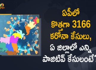 Andhra Pradesh, Andhra Pradesh COVID-19 Daily Bulletin, Andhra Pradesh Department of Health, ap coronavirus cases today, ap coronavirus cases total, ap coronavirus updates district wise, AP COVID 19 Cases, AP Total Positive Cases, COVID-19, COVID-19 Daily Bulletin, Total Corona Cases In AP,mango news