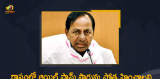 Cabinet Decides to Promote Oil Palm Cultivation, CM KCR On Methods To Increase Oil Palm Cultivation In The State, Fillip To Oil Palm Cultivation In Telangana, Focus on oil palm cultivation, Mango News, Methods To Increase Oil Palm Cultivation In The State, Oil Palm Cultivation, Oil Palm Cultivation In Telangana, Oil Palm Cultivation In Telangana State, Telangana Cabinet, Telangana Cabinet Decides to Promote Oil Palm Cultivation, Telangana Cabinet Decides to Promote Oil Palm Cultivation in the State, Telangana Oil palm cultivation