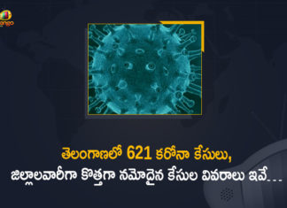 Coronavirus, COVID-19, Covid-19 Updates in Telangana, telangana corona district wise cases, telangana coronavirus cases district wise, telangana coronavirus cases today, telangana coronavirus cases today district wise, telangana coronavirus district wise, telangana coronavirus district wise List, Telangana Coronavirus News, telangana covid cases today bulletin, telangana covid cases today list,mango news