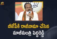 Another jolt to BJP in Telangana as ex-minister quits, Another shock for Telangana BJP, Ex-minister Peddireddy, Ex-minister Peddireddy Resigned From Bharatiya Janata Party, Former minister E Peddi Reddy quits Telangana BJP, Former Minister Peddi Reddy Resigns from BJP, Mango News, Peddi Reddy quits BJP, Peddi Reddy resigns from BJP, Peddi Reddy resigns from BJP over Eetela Rajender, Peddireddy Resign, telangana