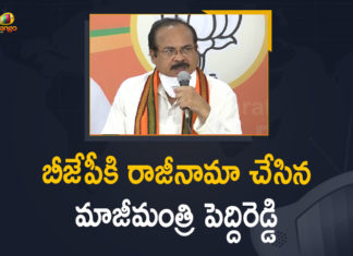 Another jolt to BJP in Telangana as ex-minister quits, Another shock for Telangana BJP, Ex-minister Peddireddy, Ex-minister Peddireddy Resigned From Bharatiya Janata Party, Former minister E Peddi Reddy quits Telangana BJP, Former Minister Peddi Reddy Resigns from BJP, Mango News, Peddi Reddy quits BJP, Peddi Reddy resigns from BJP, Peddi Reddy resigns from BJP over Eetela Rajender, Peddireddy Resign, telangana