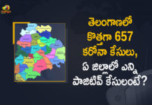 Coronavirus, COVID-19, Covid-19 Updates in Telangana, telangana corona district wise cases, telangana coronavirus cases district wise, telangana coronavirus cases today, telangana coronavirus cases today district wise, telangana coronavirus district wise, telangana coronavirus district wise List, Telangana Coronavirus News, telangana covid cases today bulletin, telangana covid cases today list,mango news
