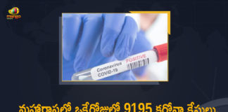 Corona Positive Cases in Maharashtra, Corona Positive Cases In Maharashtra, Maharashtra, Maharashtra , Maharashtra Corona, Maharashtra Corona Cases, Maharashtra Corona Deaths, Maharashtra Corona Positive Cases, Maharashtra Coronavirus, Maharashtra Coronavirus Positive Cases, Maharashtra Coronavirus Updates, Maharashtra COVID 19,mango news