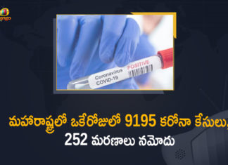 Corona Positive Cases in Maharashtra, Corona Positive Cases In Maharashtra, Maharashtra, Maharashtra , Maharashtra Corona, Maharashtra Corona Cases, Maharashtra Corona Deaths, Maharashtra Corona Positive Cases, Maharashtra Coronavirus, Maharashtra Coronavirus Positive Cases, Maharashtra Coronavirus Updates, Maharashtra COVID 19,mango news