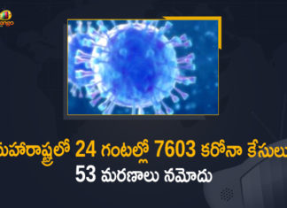 Corona Positive Cases in Maharashtra, Corona Positive Cases In Maharashtra, Maharashtra, Maharashtra , Maharashtra Corona, Maharashtra Corona Cases, Maharashtra Corona Deaths, Maharashtra Corona Positive Cases, Maharashtra Coronavirus, Maharashtra Coronavirus Positive Cases, Maharashtra Coronavirus Updates, Maharashtra COVID 19,mango news