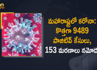 Corona Positive Cases in Maharashtra, Corona Positive Cases In Maharashtra, Maharashtra, Maharashtra , Maharashtra Corona, Maharashtra Corona Cases, Maharashtra Corona Deaths, Maharashtra Corona Positive Cases, Maharashtra Coronavirus, Maharashtra Coronavirus Positive Cases, Maharashtra Coronavirus Updates, Maharashtra COVID 19,mango news