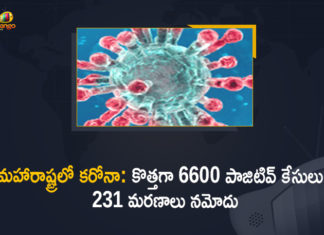 Corona Positive Cases in Maharashtra, Corona Positive Cases In Maharashtra, Maharashtra, Maharashtra , Maharashtra Corona, Maharashtra Corona Cases, Maharashtra Corona Deaths, Maharashtra Corona Positive Cases, Maharashtra Coronavirus, Maharashtra Coronavirus Positive Cases, Maharashtra Coronavirus Updates, Maharashtra COVID 19,mango news