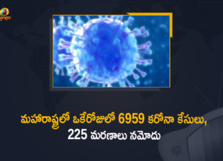Corona Positive Cases in Maharashtra, Corona Positive Cases In Maharashtra, Maharashtra, Maharashtra , Maharashtra Corona, Maharashtra Corona Cases, Maharashtra Corona Deaths, Maharashtra Corona Positive Cases, Maharashtra Coronavirus, Maharashtra Coronavirus Positive Cases, Maharashtra Coronavirus Updates, Maharashtra COVID 19,mango news