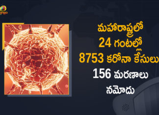 Corona Positive Cases in Maharashtra, Corona Positive Cases In Maharashtra, Maharashtra, Maharashtra , Maharashtra Corona, Maharashtra Corona Cases, Maharashtra Corona Deaths, Maharashtra Corona Positive Cases, Maharashtra Coronavirus, Maharashtra Coronavirus Positive Cases, Maharashtra Coronavirus Updates, Maharashtra COVID 19,mango news