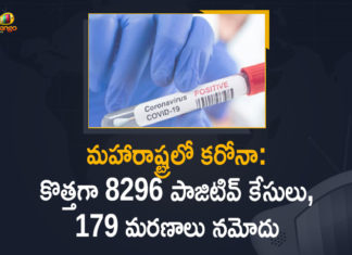 Corona Positive Cases in Maharashtra, Corona Positive Cases In Maharashtra, Maharashtra, Maharashtra , Maharashtra Corona, Maharashtra Corona Cases, Maharashtra Corona Deaths, Maharashtra Corona Positive Cases, Maharashtra Coronavirus, Maharashtra Coronavirus Positive Cases, Maharashtra Coronavirus Updates, Maharashtra COVID 19,mango news