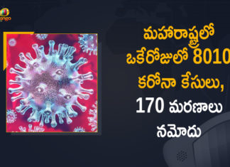 Corona Positive Cases in Maharashtra, Corona Positive Cases In Maharashtra, Maharashtra, Maharashtra , Maharashtra Corona, Maharashtra Corona Cases, Maharashtra Corona Deaths, Maharashtra Corona Positive Cases, Maharashtra Coronavirus, Maharashtra Coronavirus Positive Cases, Maharashtra Coronavirus Updates, Maharashtra COVID 19,mango news