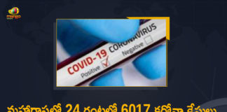 Corona Positive Cases in Maharashtra, Corona Positive Cases In Maharashtra, Maharashtra, Maharashtra , Maharashtra Corona, Maharashtra Corona Cases, Maharashtra Corona Deaths, Maharashtra Corona Positive Cases, Maharashtra Coronavirus, Maharashtra Coronavirus Positive Cases, Maharashtra Coronavirus Updates, Maharashtra COVID 19,mango news