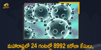 Corona Positive Cases in Maharashtra, Corona Positive Cases In Maharashtra, Maharashtra, Maharashtra , Maharashtra Corona, Maharashtra Corona Cases, Maharashtra Corona Deaths, Maharashtra Corona Positive Cases, Maharashtra Coronavirus, Maharashtra Coronavirus Positive Cases, Maharashtra Coronavirus Updates, Maharashtra COVID 19,mango news