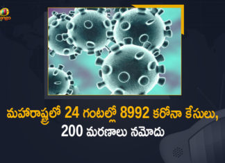 Corona Positive Cases in Maharashtra, Corona Positive Cases In Maharashtra, Maharashtra, Maharashtra , Maharashtra Corona, Maharashtra Corona Cases, Maharashtra Corona Deaths, Maharashtra Corona Positive Cases, Maharashtra Coronavirus, Maharashtra Coronavirus Positive Cases, Maharashtra Coronavirus Updates, Maharashtra COVID 19,mango news