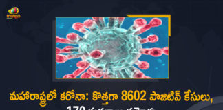 Corona Positive Cases in Maharashtra, Corona Positive Cases In Maharashtra, Maharashtra, Maharashtra , Maharashtra Corona, Maharashtra Corona Cases, Maharashtra Corona Deaths, Maharashtra Corona Positive Cases, Maharashtra Coronavirus, Maharashtra Coronavirus Positive Cases, Maharashtra Coronavirus Updates, Maharashtra COVID 19,mango news