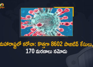 Corona Positive Cases in Maharashtra, Corona Positive Cases In Maharashtra, Maharashtra, Maharashtra , Maharashtra Corona, Maharashtra Corona Cases, Maharashtra Corona Deaths, Maharashtra Corona Positive Cases, Maharashtra Coronavirus, Maharashtra Coronavirus Positive Cases, Maharashtra Coronavirus Updates, Maharashtra COVID 19,mango news