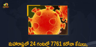 Corona Positive Cases in Maharashtra, Corona Positive Cases In Maharashtra, Maharashtra, Maharashtra , Maharashtra Corona, Maharashtra Corona Cases, Maharashtra Corona Deaths, Maharashtra Corona Positive Cases, Maharashtra Coronavirus, Maharashtra Coronavirus Positive Cases, Maharashtra Coronavirus Updates, Maharashtra COVID 19,mango news