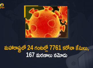 Corona Positive Cases in Maharashtra, Corona Positive Cases In Maharashtra, Maharashtra, Maharashtra , Maharashtra Corona, Maharashtra Corona Cases, Maharashtra Corona Deaths, Maharashtra Corona Positive Cases, Maharashtra Coronavirus, Maharashtra Coronavirus Positive Cases, Maharashtra Coronavirus Updates, Maharashtra COVID 19,mango news