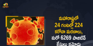 Corona Positive Cases in Maharashtra, Corona Positive Cases In Maharashtra, Maharashtra, Maharashtra , Maharashtra Corona, Maharashtra Corona Cases, Maharashtra Corona Deaths, Maharashtra Corona Positive Cases, Maharashtra Coronavirus, Maharashtra Coronavirus Positive Cases, Maharashtra Coronavirus Updates, Maharashtra COVID 19,mango news