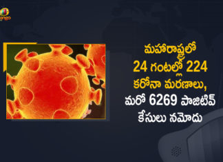 Corona Positive Cases in Maharashtra, Corona Positive Cases In Maharashtra, Maharashtra, Maharashtra , Maharashtra Corona, Maharashtra Corona Cases, Maharashtra Corona Deaths, Maharashtra Corona Positive Cases, Maharashtra Coronavirus, Maharashtra Coronavirus Positive Cases, Maharashtra Coronavirus Updates, Maharashtra COVID 19,mango news
