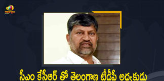 L Ramana Meets CM KCR, Mango News, Telangana CM KCR, Telangana President L Ramana, Telangana President L Ramana To Join Ruling Government, Telangana TDP chief L Ramana likely to join TRS, Telangana TDP chief may join TRS, TRS eyes TDP’s L Ramana to fill Eatala Rajender, TRS Invites TDP Telangana President L Ramana, TTDP President L Ramana, TTDP President L Ramana Meets CM KCR