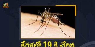 diagnosis of zika virus, Kerala Health Minister Veena George, Kerala Zika virus, Total Number of Cases in Kerala State Increased to 19, Zika virus, zika virus and pregnancy, zika virus deaths, zika virus in india, Zika virus in Kerala, Zika virus infection, zika virus is spread by, zika virus symptoms and treatment, Zika Virus Treatment