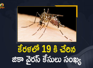 diagnosis of zika virus, Kerala Health Minister Veena George, Kerala Zika virus, Total Number of Cases in Kerala State Increased to 19, Zika virus, zika virus and pregnancy, zika virus deaths, zika virus in india, Zika virus in Kerala, Zika virus infection, zika virus is spread by, zika virus symptoms and treatment, Zika Virus Treatment
