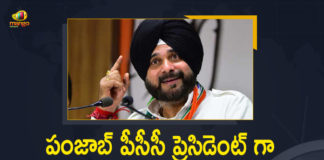 Congress a Mango News, Navjot Singh Sidhu, Navjot Singh Sidhu Appointed As New PCC President, Navjot Singh Sidhu Appointed As New PCC President Amid Ongoing Issues Within Punjab Congress Unit, Navjot Singh Sidhu as the President of the Punjab Congress Committee, New PCC President Amid Ongoing Issues Within Punjab Congress Unit, Punjab Congress, Punjab Congress Navjot Singh Sidhu, Punjab Congress Unit, Punjab Politics, Punjab Pradesh Congress Committee, Sonia GandhiPresident Sonia Gandhi Appointed Navjot Singh Sidhu as Punjab PCC President