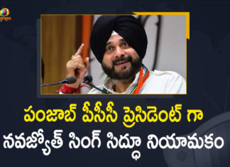 Congress a Mango News, Navjot Singh Sidhu, Navjot Singh Sidhu Appointed As New PCC President, Navjot Singh Sidhu Appointed As New PCC President Amid Ongoing Issues Within Punjab Congress Unit, Navjot Singh Sidhu as the President of the Punjab Congress Committee, New PCC President Amid Ongoing Issues Within Punjab Congress Unit, Punjab Congress, Punjab Congress Navjot Singh Sidhu, Punjab Congress Unit, Punjab Politics, Punjab Pradesh Congress Committee, Sonia GandhiPresident Sonia Gandhi Appointed Navjot Singh Sidhu as Punjab PCC President