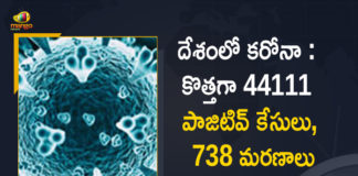 Coronavirus Cases, coronavirus cases in india state wise, coronavirus cases in india today state wise, coronavirus cases india, coronavirus india, India Coronavirus, India Covid-19 Updates, New Confirmed Corona Cases, total corona cases in india today, total corona positive in india,mango news