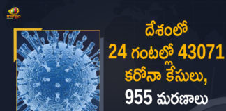 Coronavirus Cases, coronavirus cases in india state wise, coronavirus cases in india today state wise, coronavirus cases india, coronavirus india, India Coronavirus, India Covid-19 Updates, New Confirmed Corona Cases, total corona cases in india today, total corona positive in india,mango news