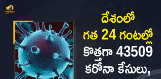 Coronavirus Cases, coronavirus cases in india state wise, coronavirus cases in india today state wise, coronavirus cases india, coronavirus india, India Coronavirus, India Covid-19 Updates, New Confirmed Corona Cases, total corona cases in india today, total corona positive in india,mango news