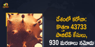 Coronavirus Cases, coronavirus cases in india state wise, coronavirus cases in india today state wise, coronavirus cases india, coronavirus india, India Coronavirus, India Covid-19 Updates, New Confirmed Corona Cases, total corona cases in india today, total corona positive in india,mango news