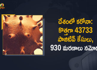 Coronavirus Cases, coronavirus cases in india state wise, coronavirus cases in india today state wise, coronavirus cases india, coronavirus india, India Coronavirus, India Covid-19 Updates, New Confirmed Corona Cases, total corona cases in india today, total corona positive in india,mango news