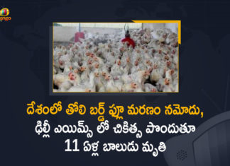 AIIMS Hospital, Bird Flu, Bird Flu Death, Bird Flu In Delhi, Delhi’s AIIMS Reports First Bird Flu Death, First Bird Flu Death in India, First bird flu death in India this year, First Bird Flu Death in India This Year Reported at AIIMS, First Bird Flu Death in India This Year Reported at AIIMS Hospital, First Bird Flu Death in India This Year Reported at AIIMS Hospital at New Delhi, Mango News, New Delhi