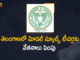 Telangana Govt Announced New Pay Scale For Model Schools Staff