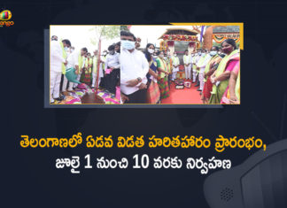 7th Phase Haritha Haram, 7th Phase Haritha Haram Launch, 7th Phase Haritha Haram Launch at Hyderabad, 7th Phase Haritha Haram Start from Tomorrow, Haritha Haram, Haritha Haram Program, Haritha Haram Program in Telangana, Haritha Haram Programme, Haritha Haram to begin from today, Indrakaran Reddy, Mango News, Ministers KTR, Telangana Ku Haritha Hāram, Telangana sets target of planting 19.91 crore saplings, TelanganaKu Harithaharam, Ts Govt To Start 7th Phase Haritha Haram Program