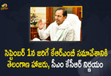 CM KCR, CM KCR Decided that the State Govt would Attend KRMB Meeting Scheduled on September 1st, KCR Decided that the State Govt would Attend KRMB, KCR says yes to KRMB meet, Krishna River Management Board Meeting, KRMB Meeting Scheduled, Mango News, Present effective arguments at KRMB meet, State Govt would Attend KRMB Meeting Scheduled on September 1st, Telangana to attend the Krishna River Management Board Meeting, Telangana to attend the KRMB meeting, Telangana to attend the KRMB meeting on September 1