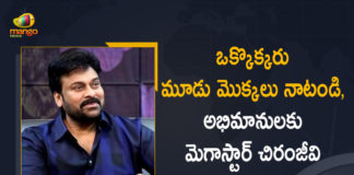 Chiranjeevi Birthday, Chiranjeevi Urges Fans to Plant 3 Sapling on His Birthday to support Green India Challenge, Chiranjeevi urges fans to take up the Green India challenge, Green India Challenge, Happy birthday Chiranjeevi, Happy Birthday Megastar Chiranjeevi, HBDMegastar, Mango News, Megastar Chiranjeevi Birthday, Megastar Chiranjeevi Urges Fans to Plant 3 Sapling on His Birthday to, Megastar Chiranjeevi Urges Fans to Plant 3 Sapling on His Birthday to support Green India Challenge