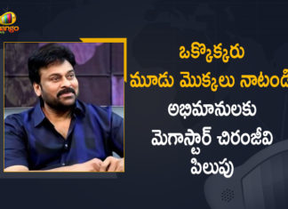Chiranjeevi Birthday, Chiranjeevi Urges Fans to Plant 3 Sapling on His Birthday to support Green India Challenge, Chiranjeevi urges fans to take up the Green India challenge, Green India Challenge, Happy birthday Chiranjeevi, Happy Birthday Megastar Chiranjeevi, HBDMegastar, Mango News, Megastar Chiranjeevi Birthday, Megastar Chiranjeevi Urges Fans to Plant 3 Sapling on His Birthday to, Megastar Chiranjeevi Urges Fans to Plant 3 Sapling on His Birthday to support Green India Challenge