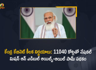 Approves National Mission on Edible Oils–Oil Palm with Rs 11040 Cr, Cabinet approves National Mission on Edible Oils, Cabinet nod for Rs 11040 cr mission to boost oil palm farming, Mango News, National Mission on Edible Oils, National Mission on Edible Oils–Oil Palm, oil palm farming, Promoting oil palm farming, Union Cabinet approves National Mission on Edible Oils, Union Cabinet Decisions