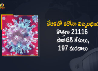 Corona Positive Cases in Kerala , Corona Positive Cases In Kerala , Kerala , Kerala , Kerala Corona, Kerala Corona Cases, Kerala Corona Deaths, Kerala Corona Positive Cases, Kerala Coronavirus, Kerala Coronavirus Positive Cases, Kerala Coronavirus Updates, Kerala COVID 19,mango news