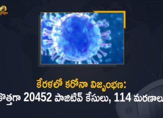 Corona Positive Cases in Kerala , Corona Positive Cases In Kerala , Kerala , Kerala , Kerala Corona, Kerala Corona Cases, Kerala Corona Deaths, Kerala Corona Positive Cases, Kerala Coronavirus, Kerala Coronavirus Positive Cases, Kerala Coronavirus Updates, Kerala COVID 19,mango news