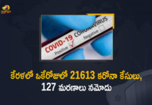 Corona Positive Cases in Kerala , Corona Positive Cases In Kerala , Kerala , Kerala , Kerala Corona, Kerala Corona Cases, Kerala Corona Deaths, Kerala Corona Positive Cases, Kerala Coronavirus, Kerala Coronavirus Positive Cases, Kerala Coronavirus Updates, Kerala COVID 19,mango news