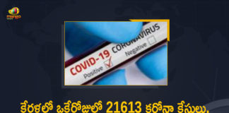 Corona Positive Cases in Kerala , Corona Positive Cases In Kerala , Kerala , Kerala , Kerala Corona, Kerala Corona Cases, Kerala Corona Deaths, Kerala Corona Positive Cases, Kerala Coronavirus, Kerala Coronavirus Positive Cases, Kerala Coronavirus Updates, Kerala COVID 19,mango news