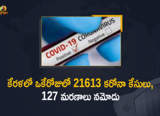 Corona Positive Cases in Kerala , Corona Positive Cases In Kerala , Kerala , Kerala , Kerala Corona, Kerala Corona Cases, Kerala Corona Deaths, Kerala Corona Positive Cases, Kerala Coronavirus, Kerala Coronavirus Positive Cases, Kerala Coronavirus Updates, Kerala COVID 19,mango news
